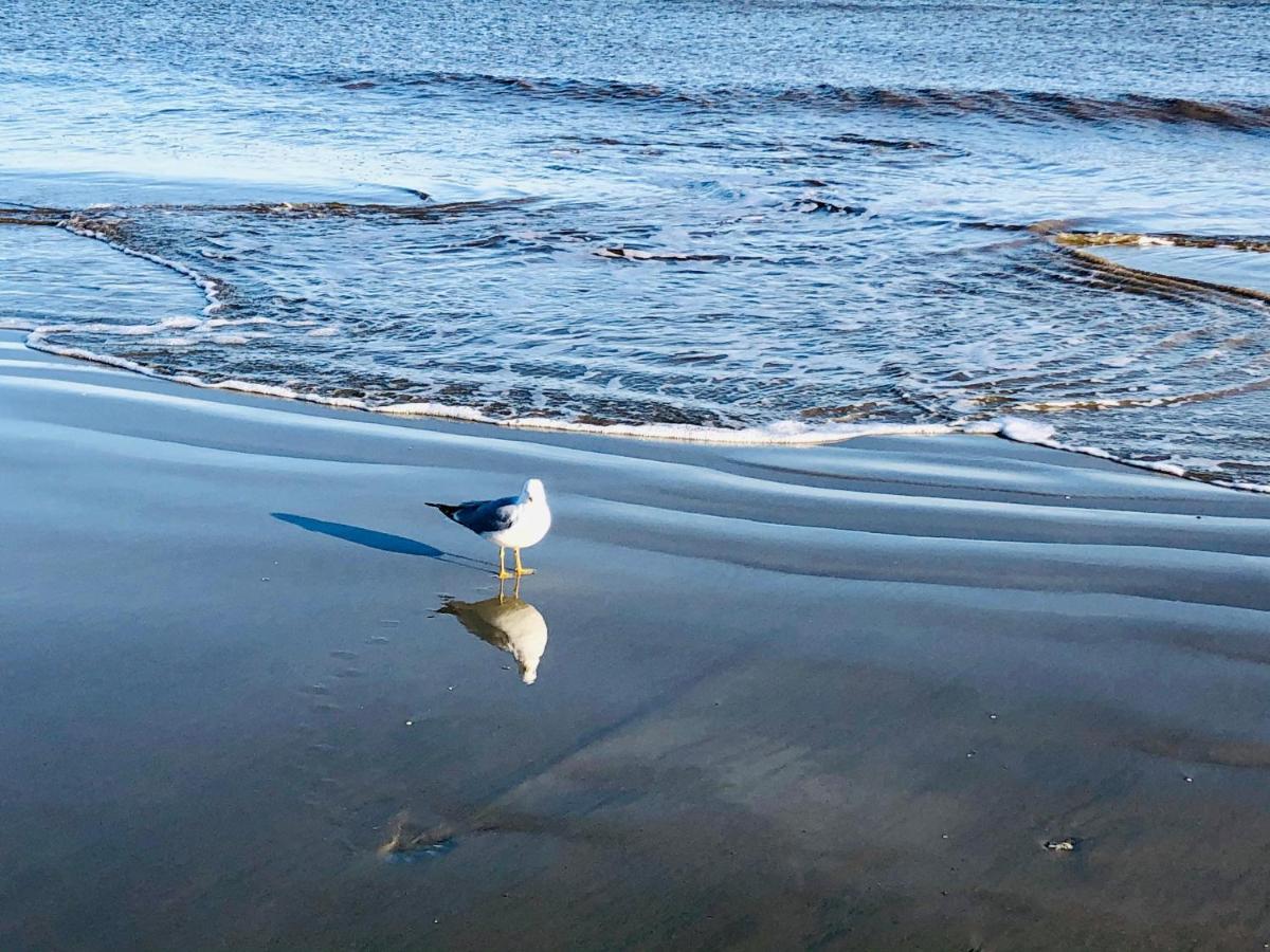 Salty Breeze At Demere Landing Unit 168 - Salt Air Dr Villa St. Simons Island Eksteriør billede